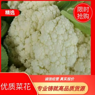 精品花椰菜，产地直供，2-3斤，专业打包上车，代发代办
