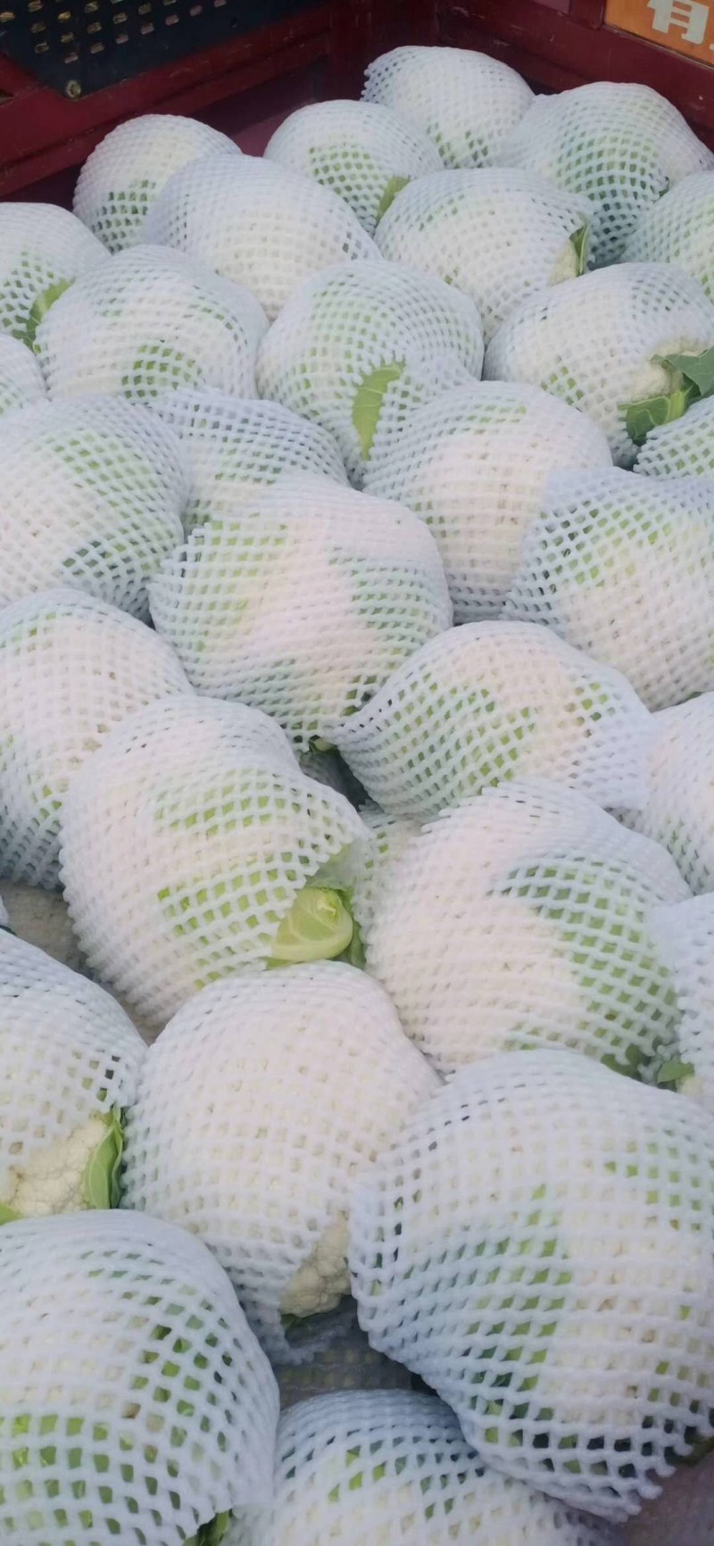 （精品花椰菜），长期供应，保质保量，产地代收发货全国各地