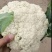 优质松花，种植大户基地直供全国各地，品种齐全，各种包装