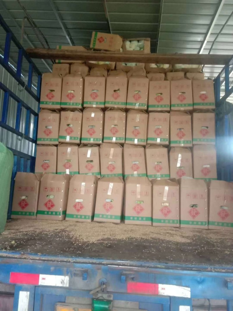 优质松花，种植大户基地直供全国各地，品种齐全，各种包装