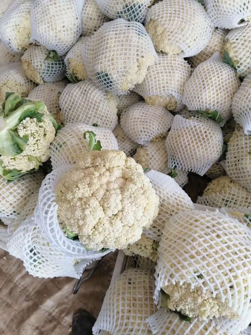 花莱有货产地直销，货源充足，散装，袋装，箱装，专业代发