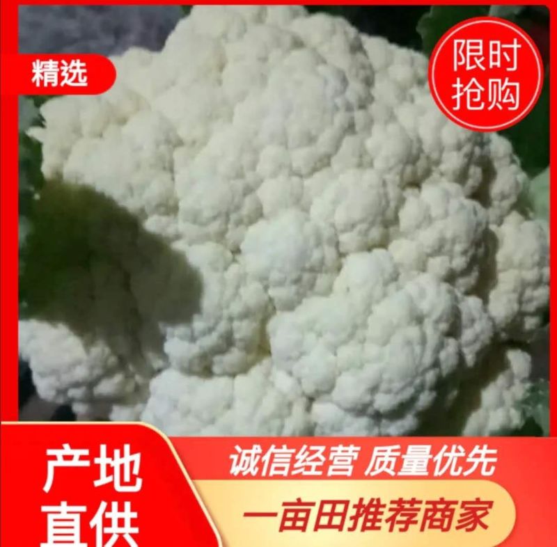 花莱有货产地直销，货源充足，散装，袋装，箱装，专业代发