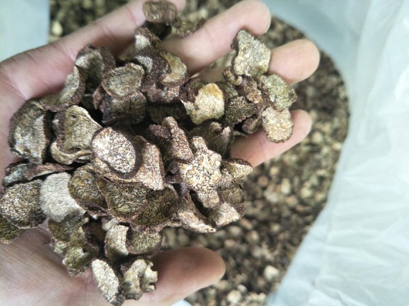 【黑松露干片】支持电商、微商、天猫、淘宝、抖音一件代发