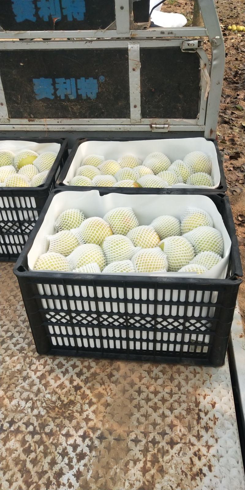 纯手工熬制梨膏无任何添加剂老少皆宜