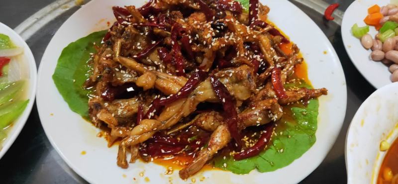 批发零售黑斑蛙，青蛙，田鸡，麻拐，水鸡，白条肉