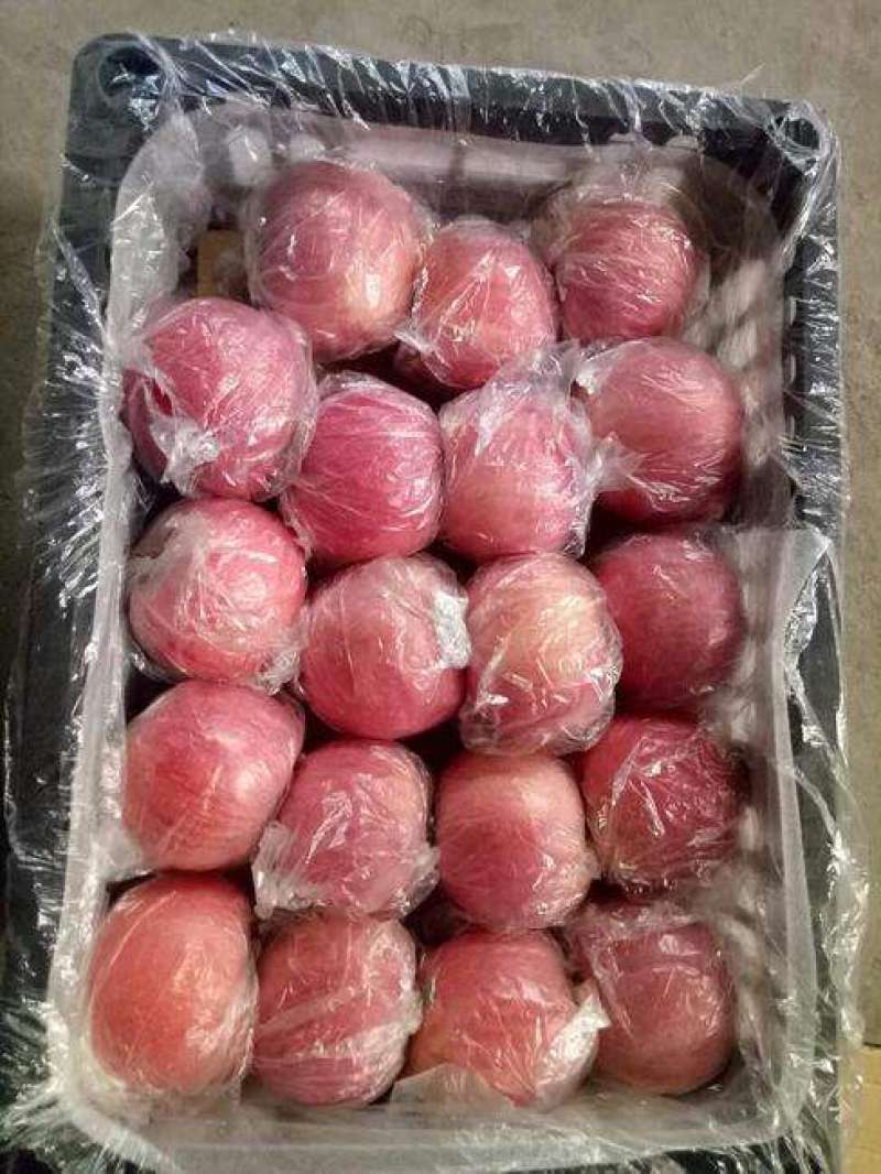 纸加膜红富士苹果，水晶红富士，瑞雪苹果，瑞香红苹果产地