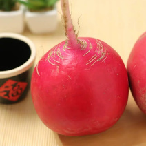 东北大红袍萝卜，各种萝卜蔬菜