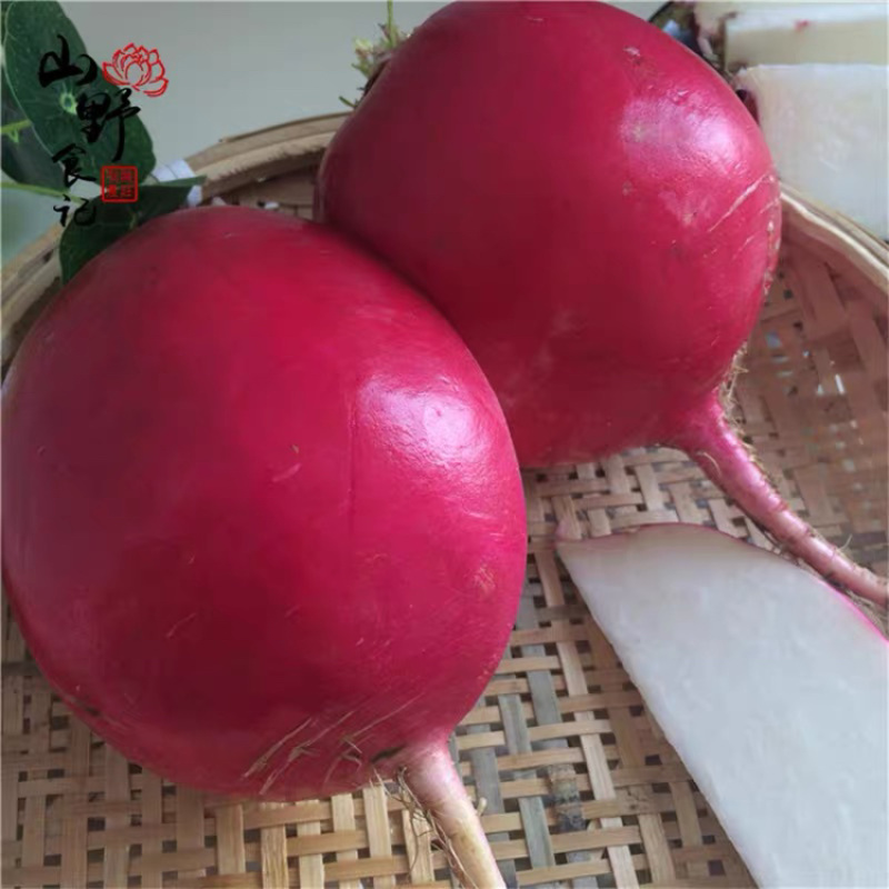 东北大红袍萝卜，各种萝卜蔬菜