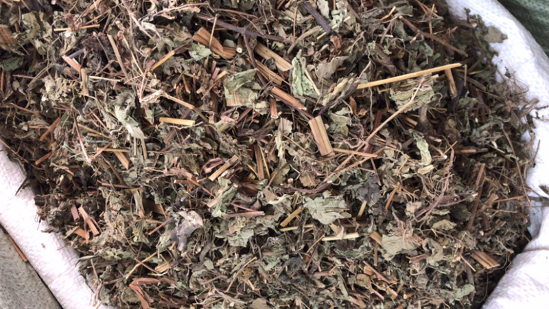 豨莶草切段支持线上交易量大从优