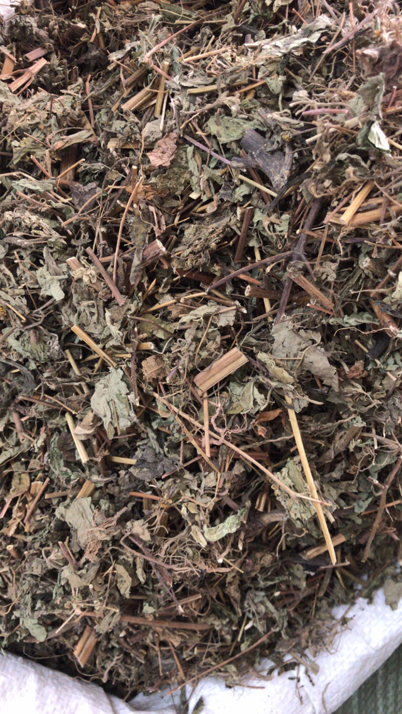 豨莶草切段支持线上交易量大从优