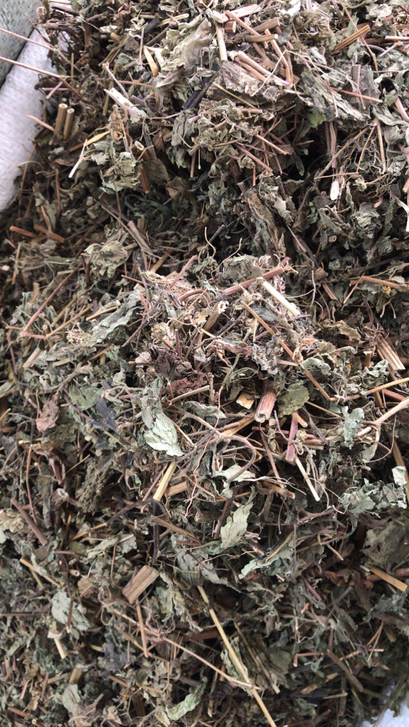 豨莶草切段支持线上交易量大从优