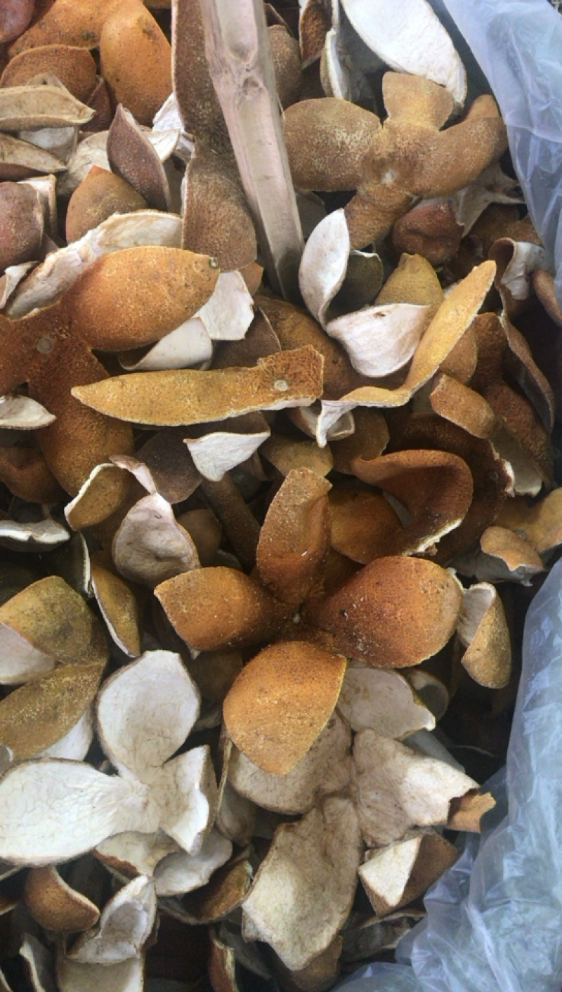 橙皮橙皮个子橙皮丝支持线上交易