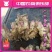优质生姜大量上市，价格便宜，产地直销，保质保量，包产量