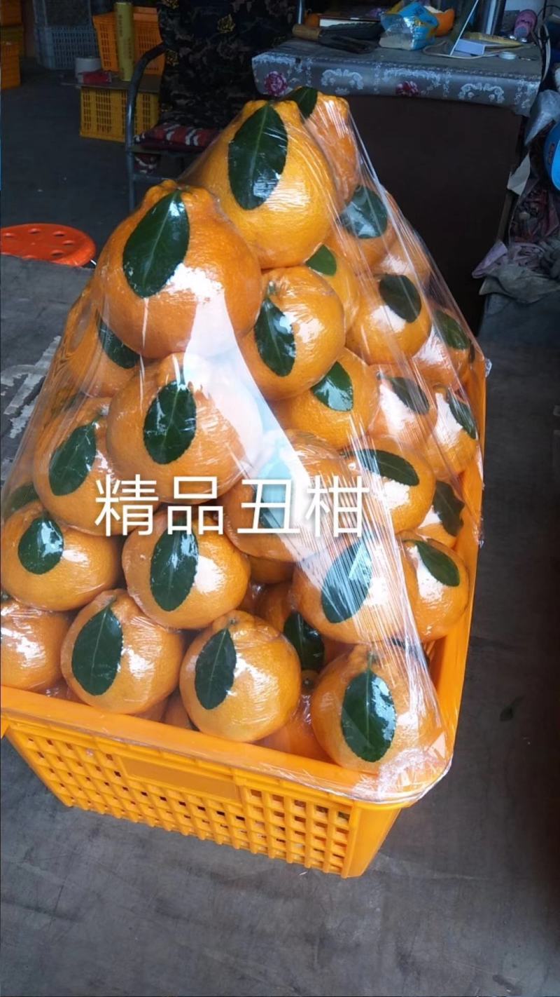 耙耙柑产地大量上市，货源充足，保质保量欢迎咨询订购