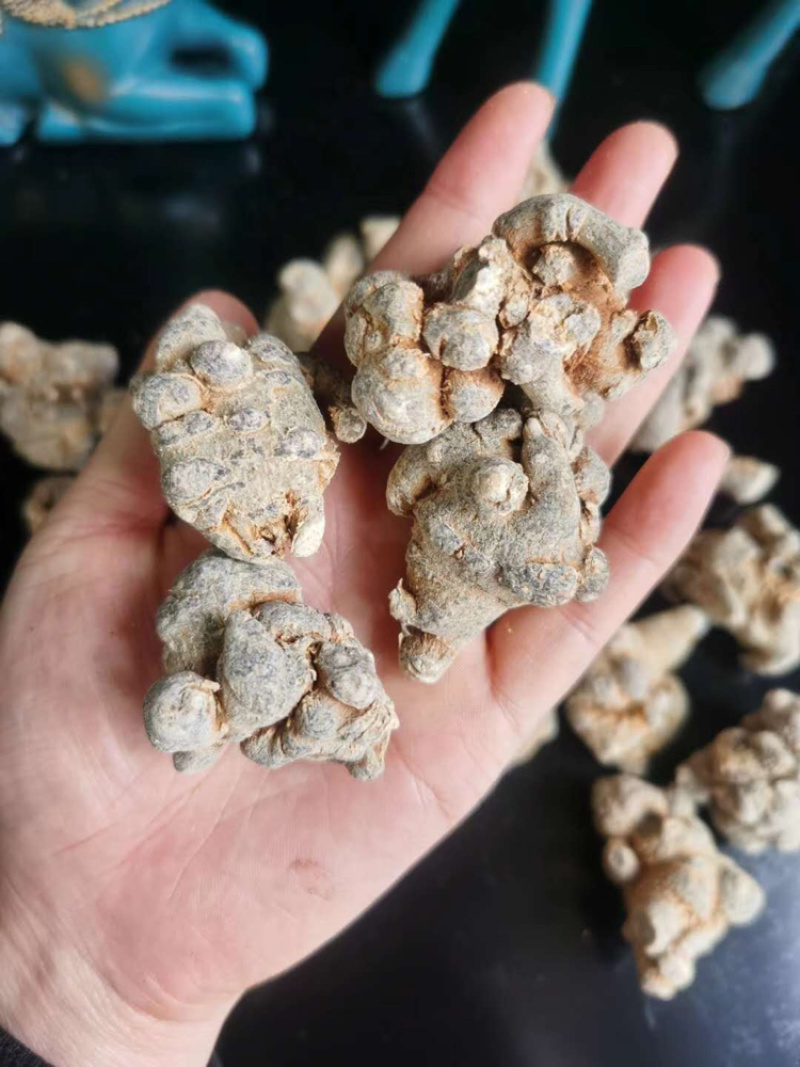 文山三七产地直发文山三七田七水洗足干足称足头