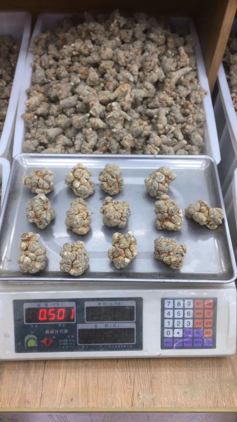 文山三七产地直发文山三七田七水洗足干足称足头