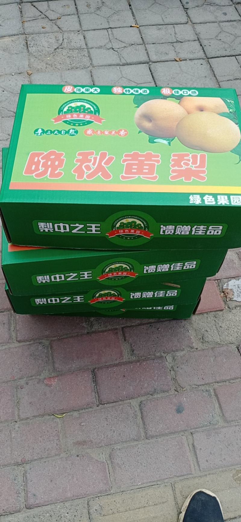 【热卖】河南省南乐县晚秋黄梨产地直销品质保证