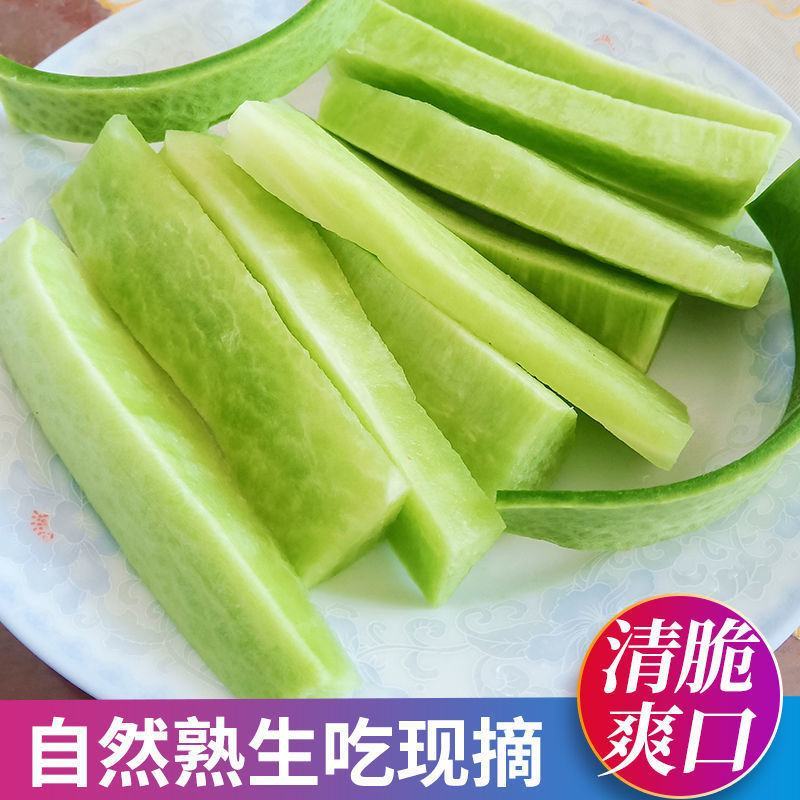 水果萝卜支持一件代发