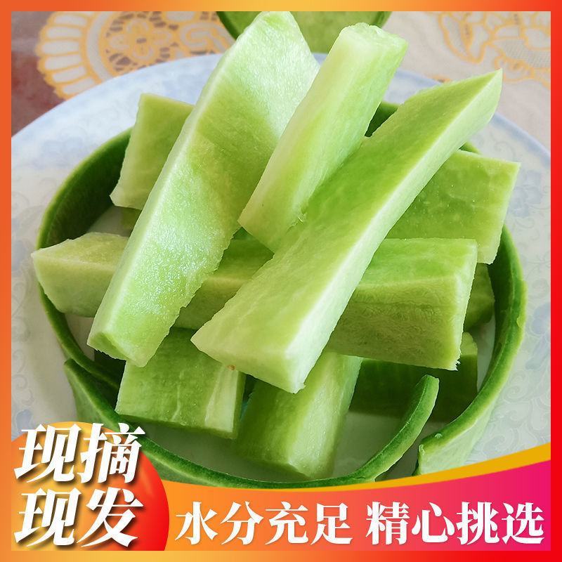 水果萝卜支持一件代发