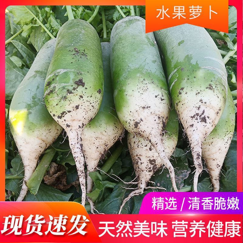 水果萝卜支持一件代发