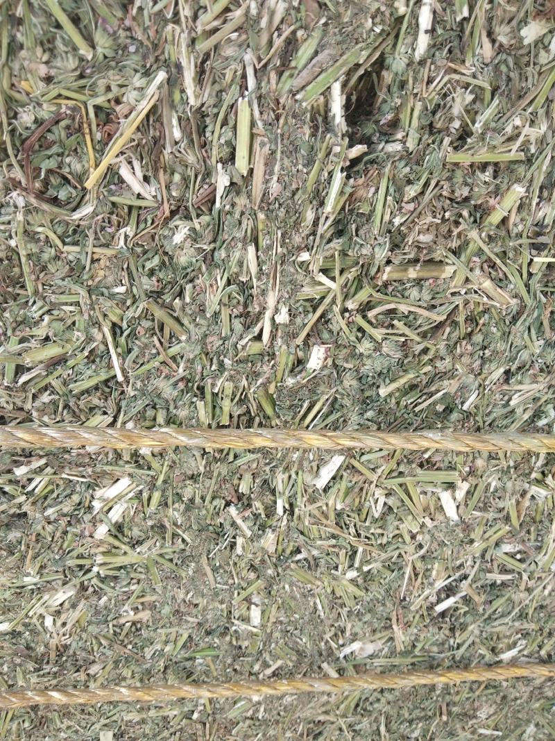 益母草片，益母草个子，前中后期大量供应
