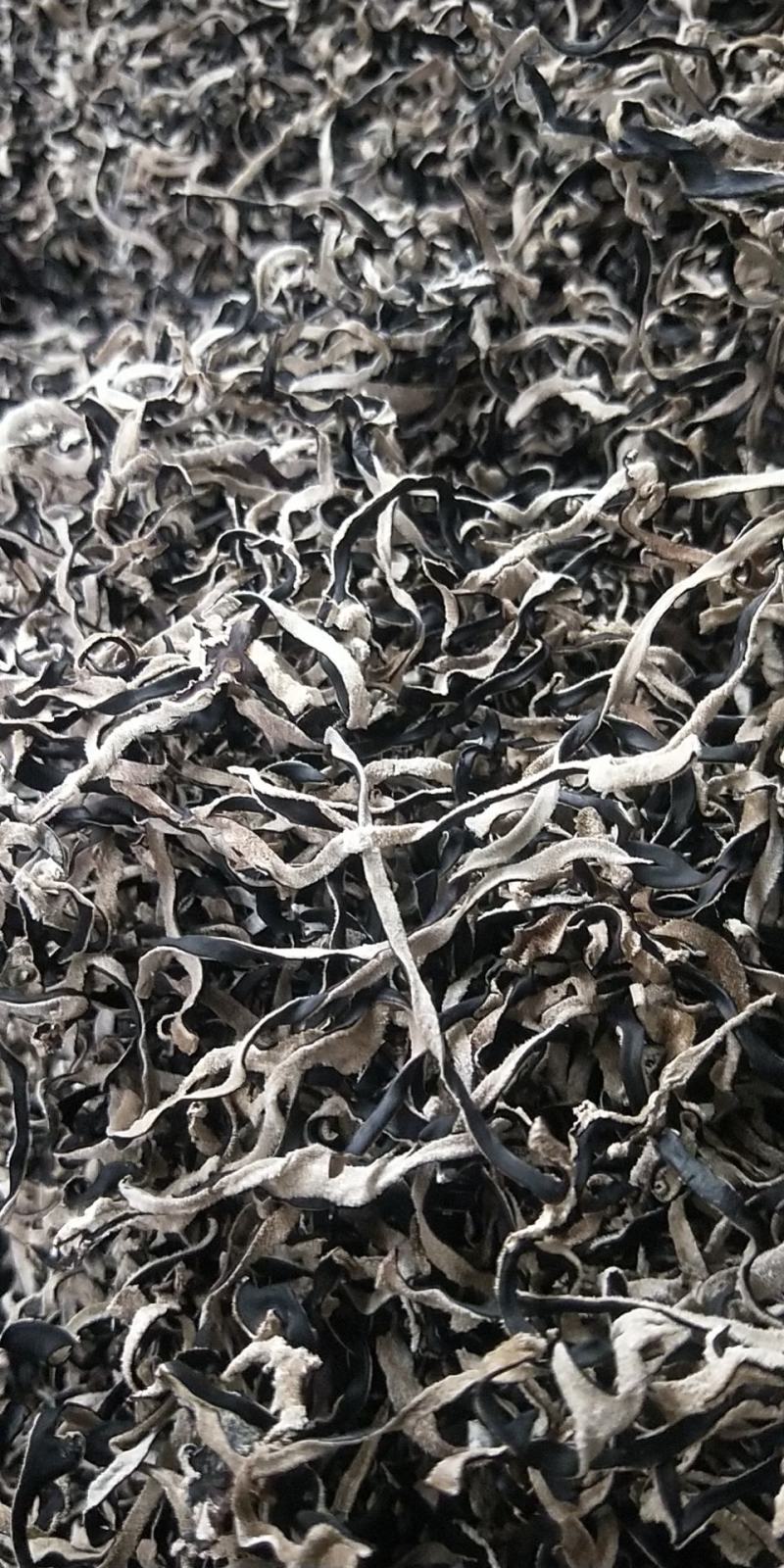 木耳木耳丝羊肚耳榆耳白木