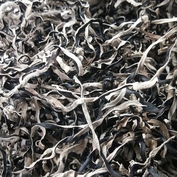 木耳丝木耳江苏木耳山东木耳鱼台木耳