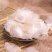 木蝴蝶广西无硫千层纸新鲜干货干净无杂