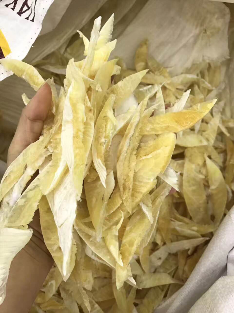 鱼翅牙拣翅边新鲜胶质好营养丰富价格实惠餐饮酒店月子好食材