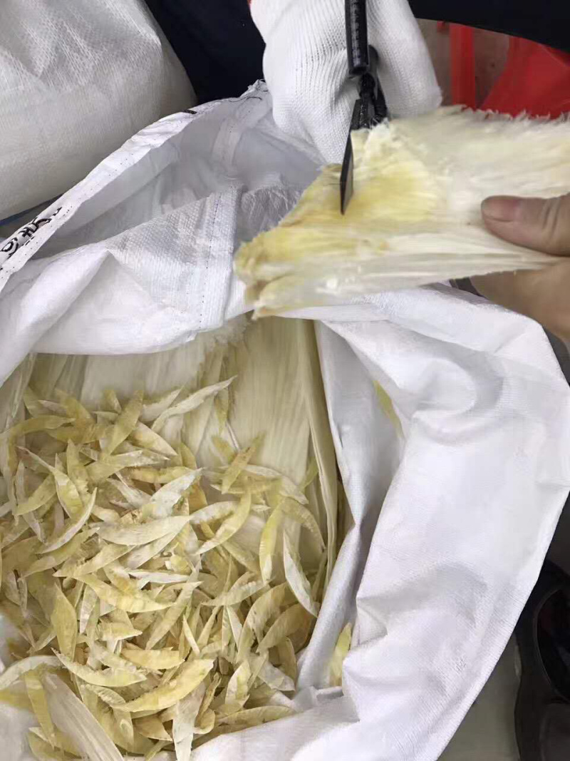 鱼翅牙拣翅边新鲜胶质好营养丰富价格实惠餐饮酒店月子好食材
