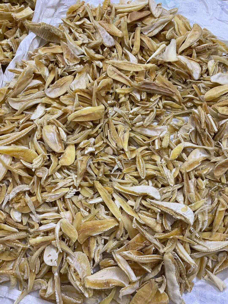 鱼翅牙拣翅边新鲜胶质好营养丰富价格实惠餐饮酒店月子好食材