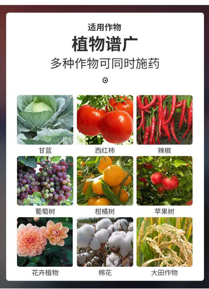 沪联亿生代森锰锌番茄早疫病农药杀菌剂