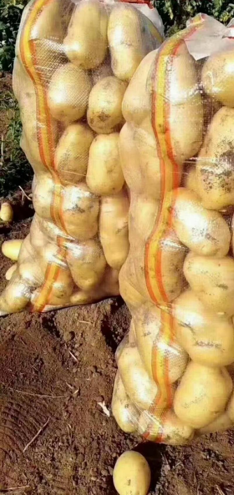 希森土豆：颜色个头薯型三优，心更黄表皮更光滑，诚信交易。