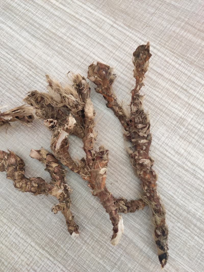 贺州市长寿县野生石菖蒲，无硫磺，自然晒干，天然的。