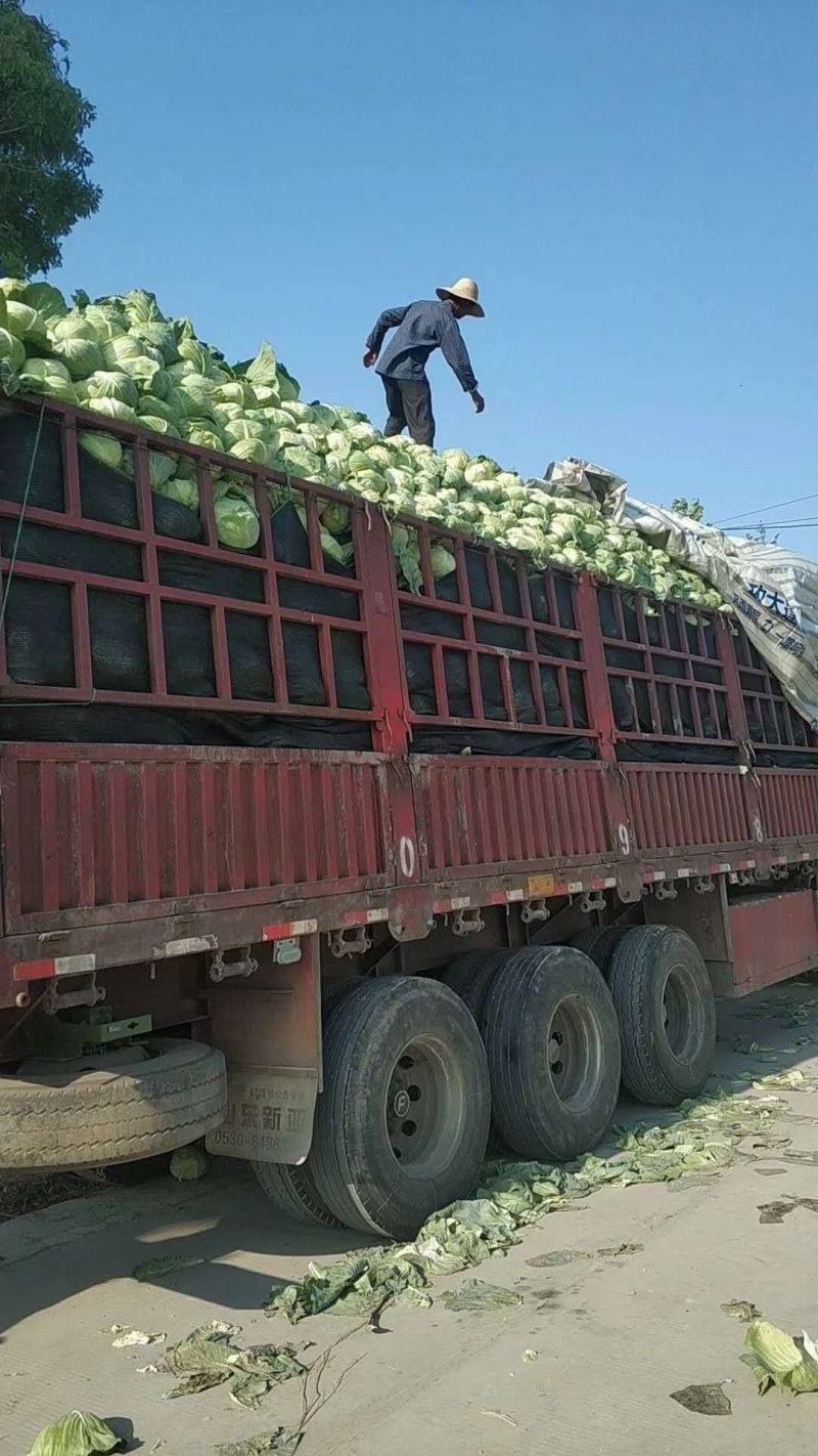 精选平包/扁包火热上市，产地供货，质量保证，市场工厂都可