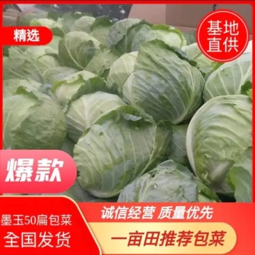 精选平包/扁包火热上市，产地供货，质量保证，市场工厂都可