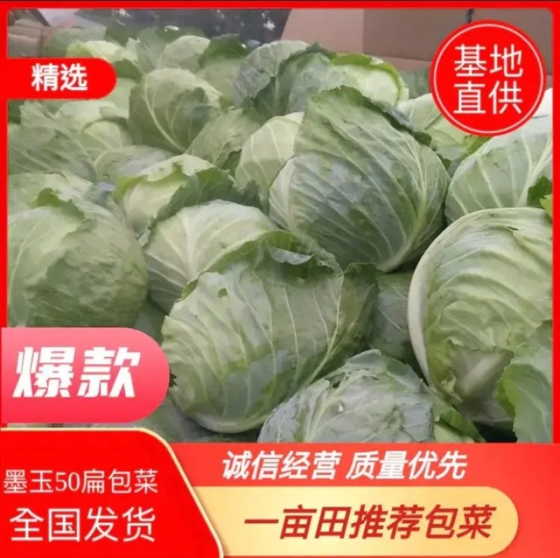 精选平包/扁包火热上市，产地供货，质量保证，市场工厂都可