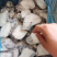 新鲜深海鳕鱼块鳕鱼深海鱼新鲜冷冻鳕鱼中段宝宝辅食鳕鱼