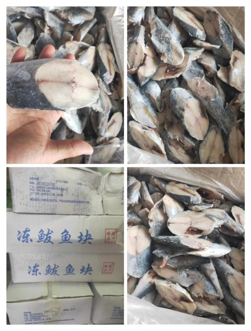 新鲜鲅鱼片青花鱼马鲛鱼片燕鲅鱼鲅鱼青条鱼海鱼燕鲅鱼