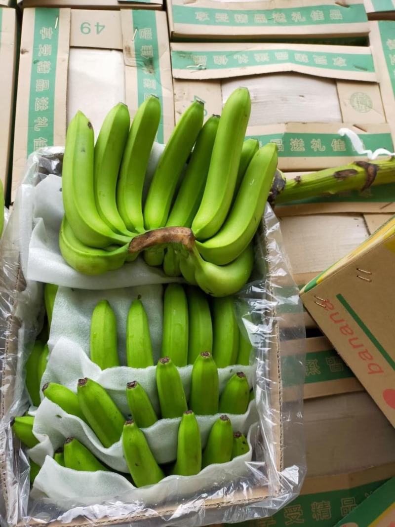 猴桥出关货11.5包水支持全国发货