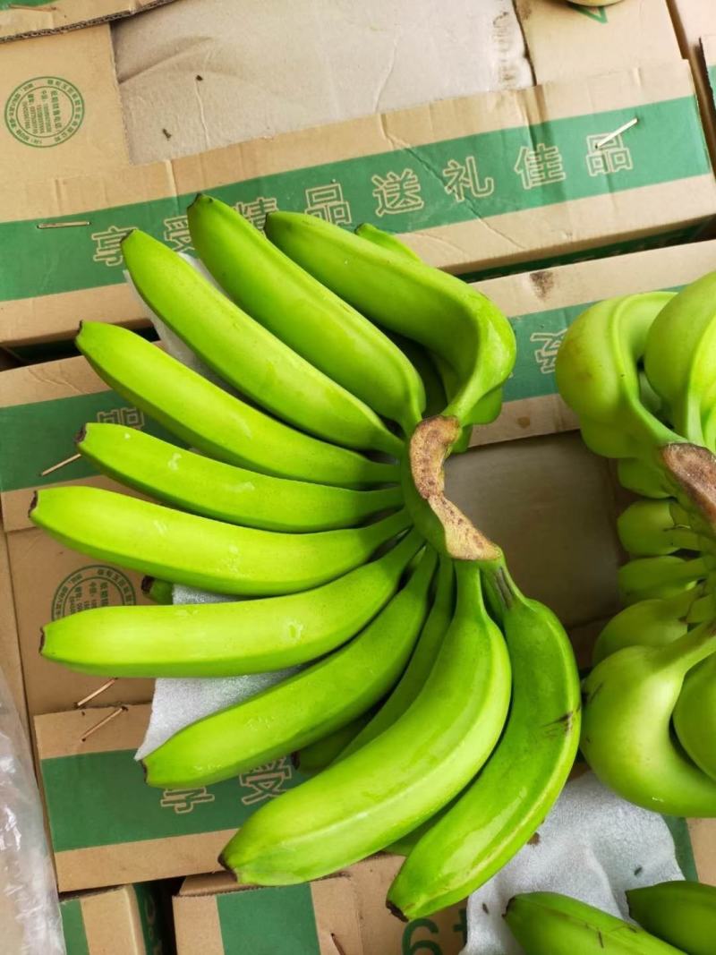 猴桥出关货11.5包水支持全国发货