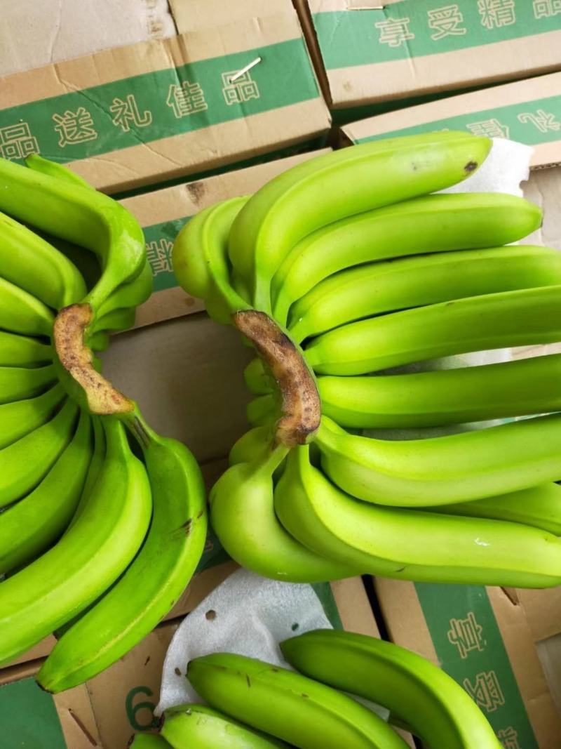 猴桥出关货11.5包水支持全国发货