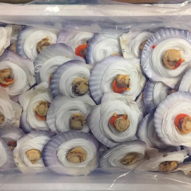 新鲜冷冻半壳粉丝扇贝烧烤批发价蒜蓉粉贝夏夷贝