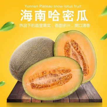 海南西州蜜【一件代发】电商平台微商代理社区团购实体落地配