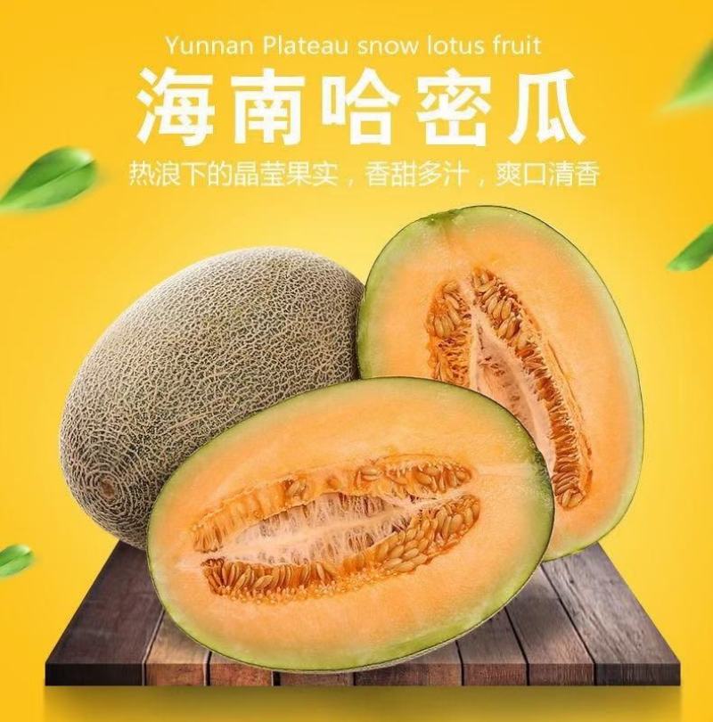 海南西州蜜【一件代发】电商平台微商代理社区团购实体落地配