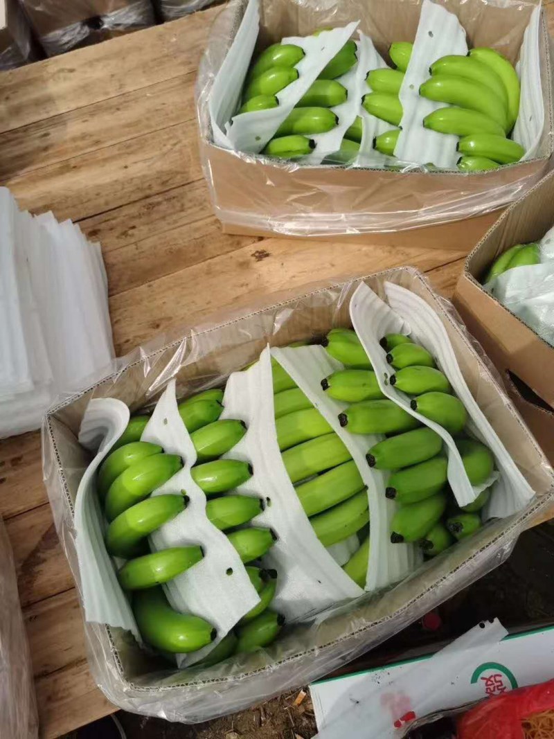 新到的精品香蕉基地货的精品蕉！！！