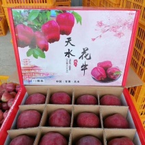礼县花牛苹果产地供应链，产地代办，电商一件代发