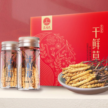 东阳光干鲜冬虫夏草正品10G新鲜冬虫夏草4-5根
