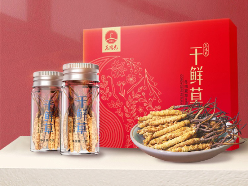 东阳光干鲜冬虫夏草正品10G新鲜冬虫夏草4-5根