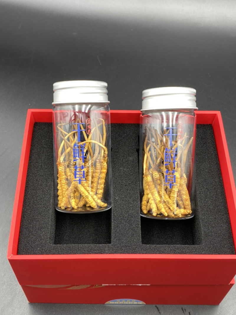 东阳光干鲜冬虫夏草正品10G新鲜冬虫夏草4-5根